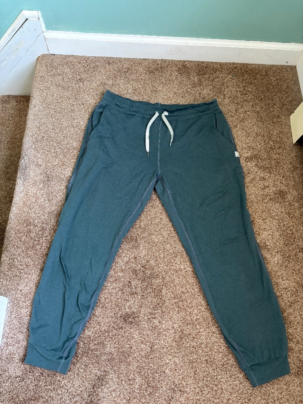 Vouri Seafoam green performance joggers